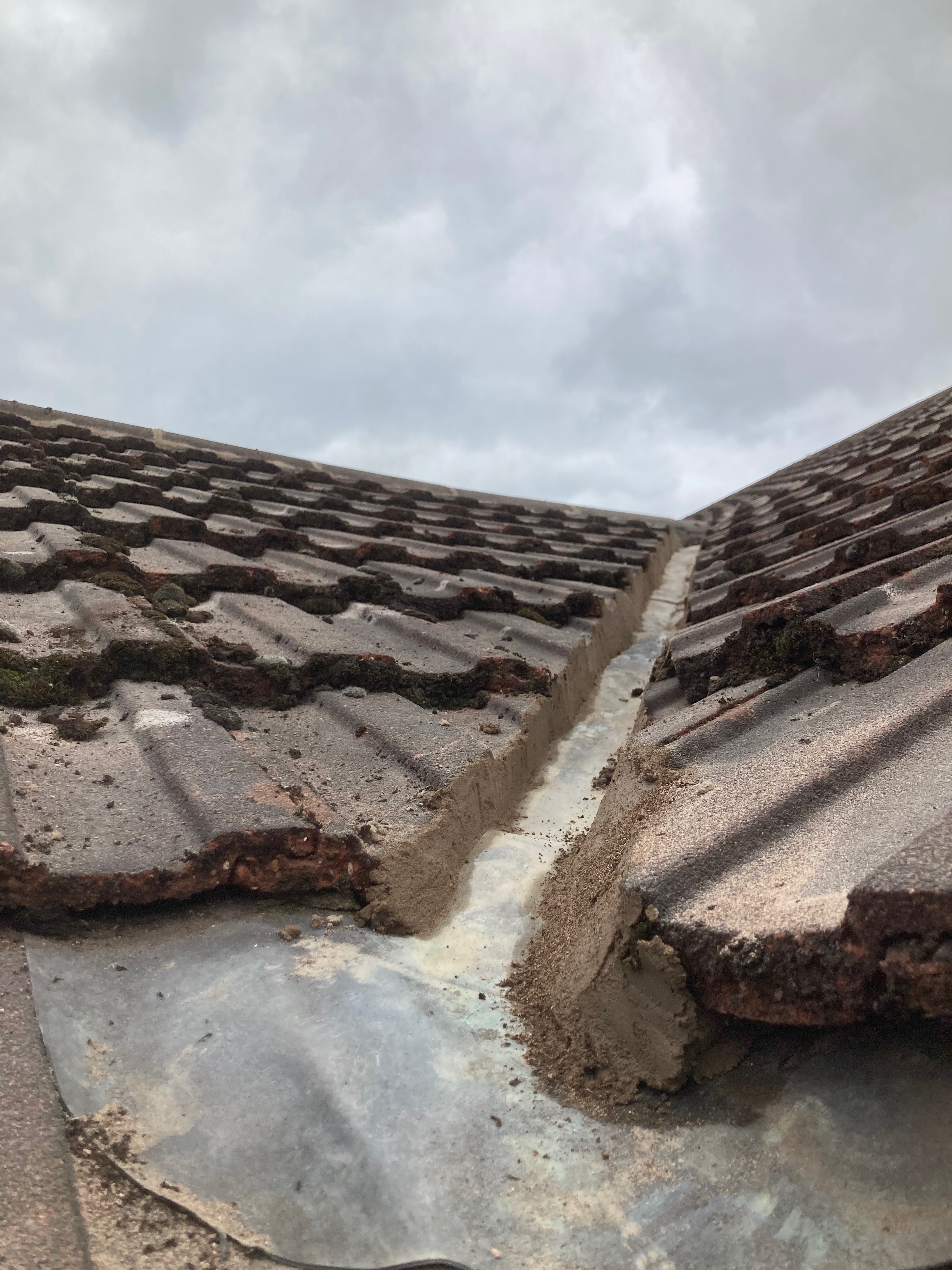 Roofing project