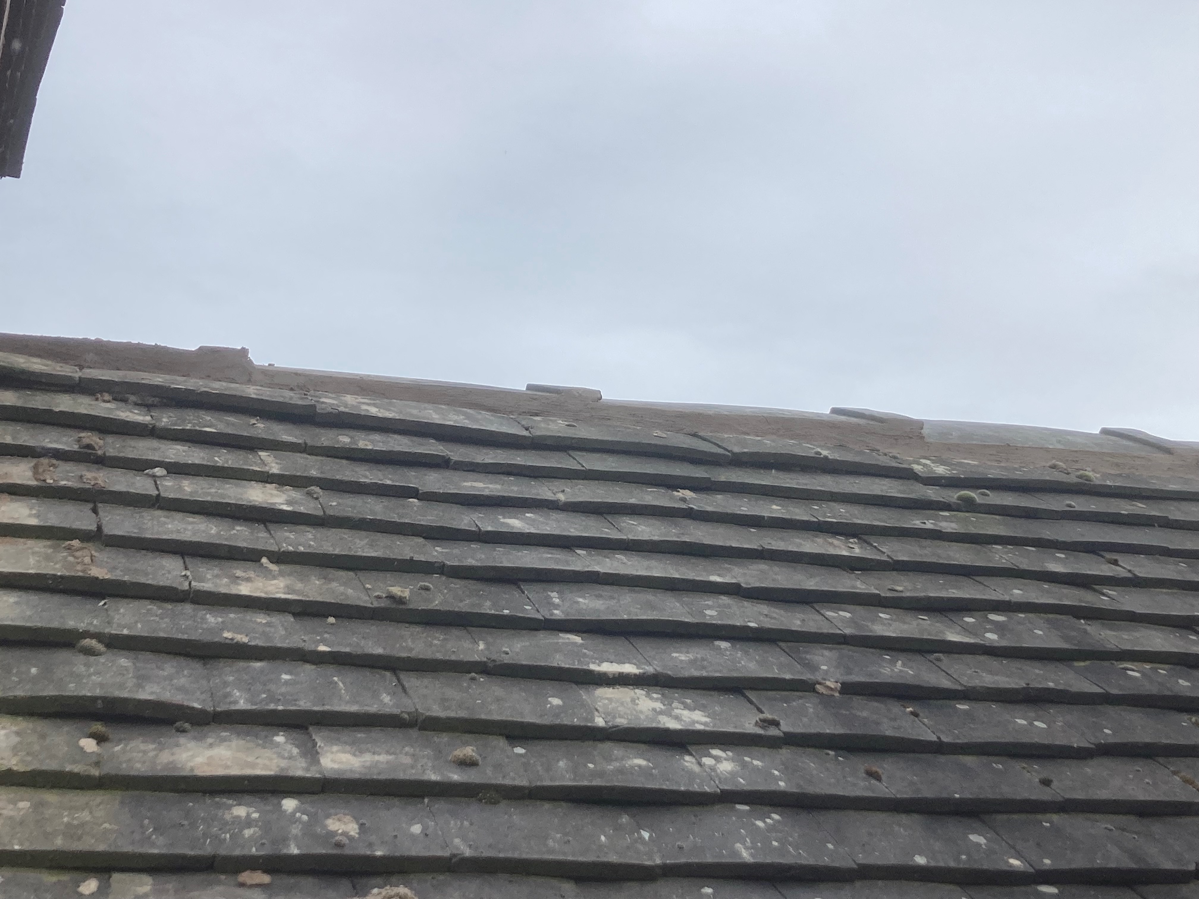 Roofing project